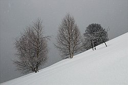 la nevicata